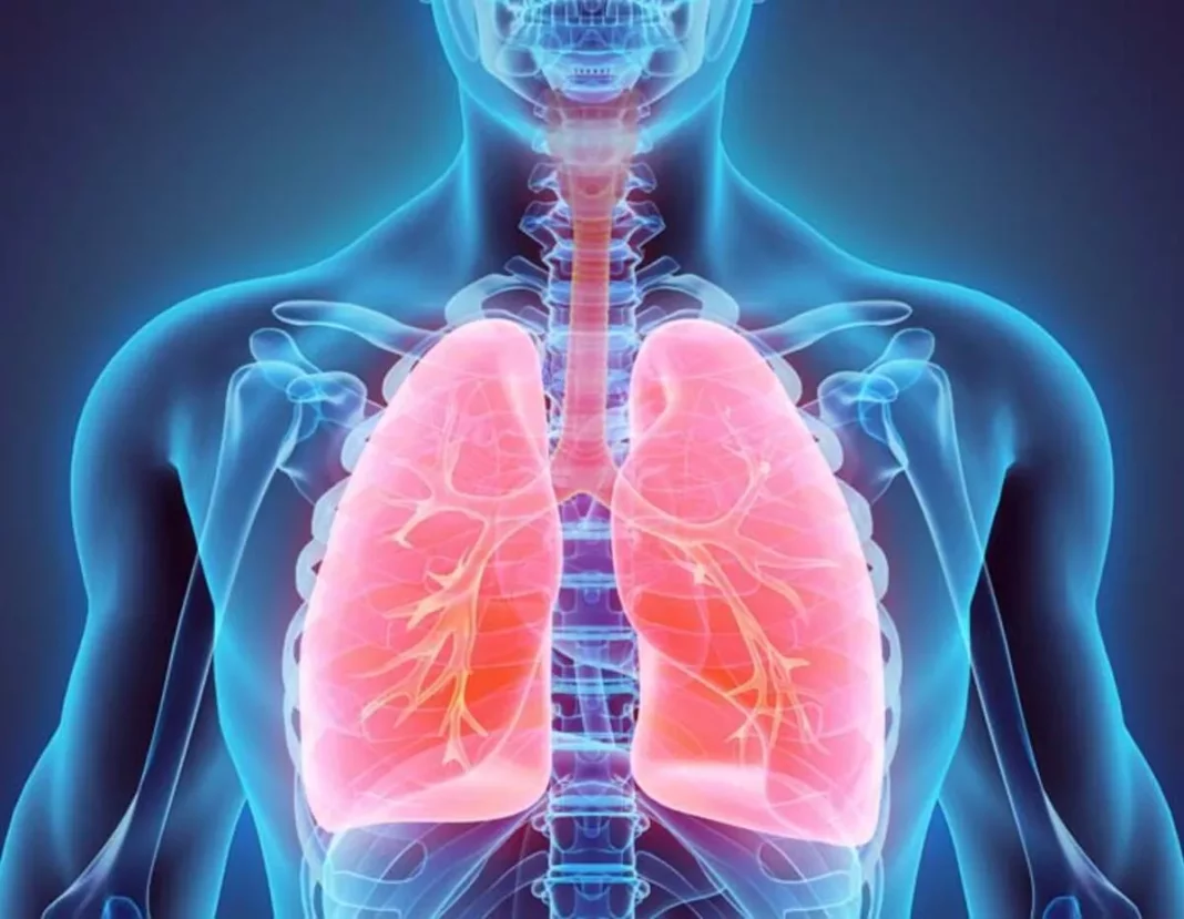 Akciğer detoksu nedir, akciğer temizleme nasıl yapılır?